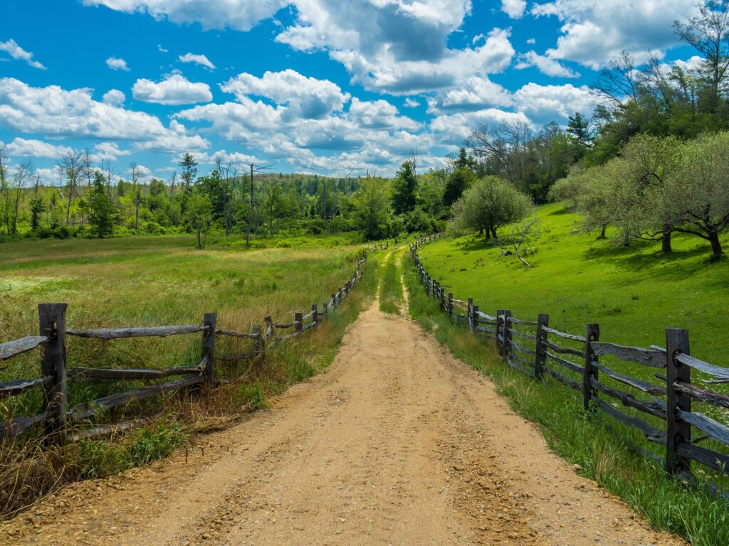 dirt road in the middle of a green field surrounded by a wooden fence on either side
